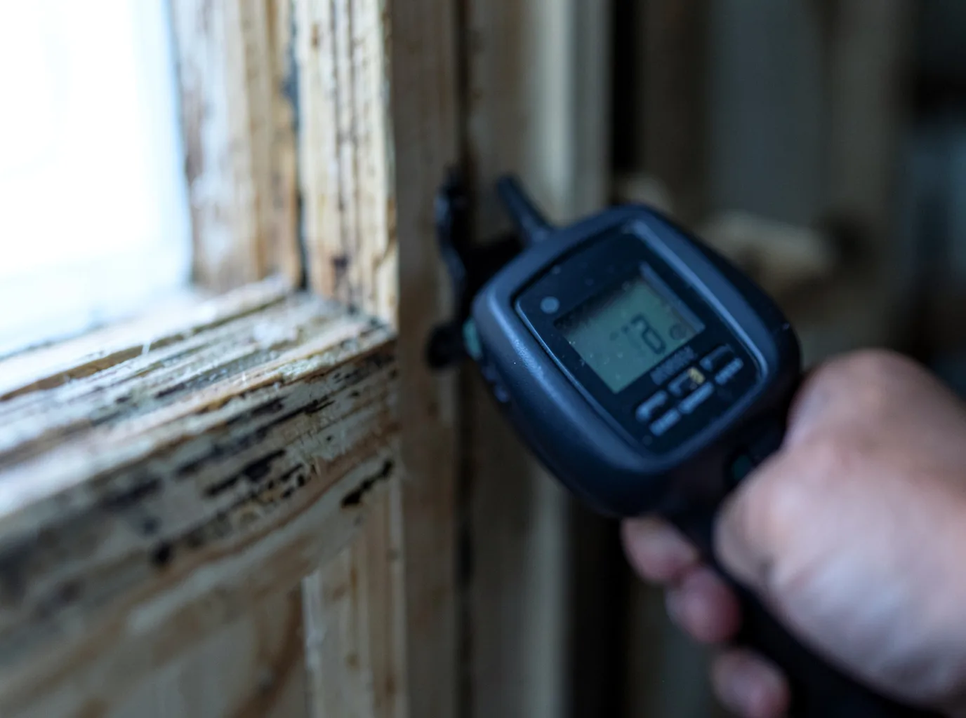 Commercial Water Damage Restoration in Birch River, WV